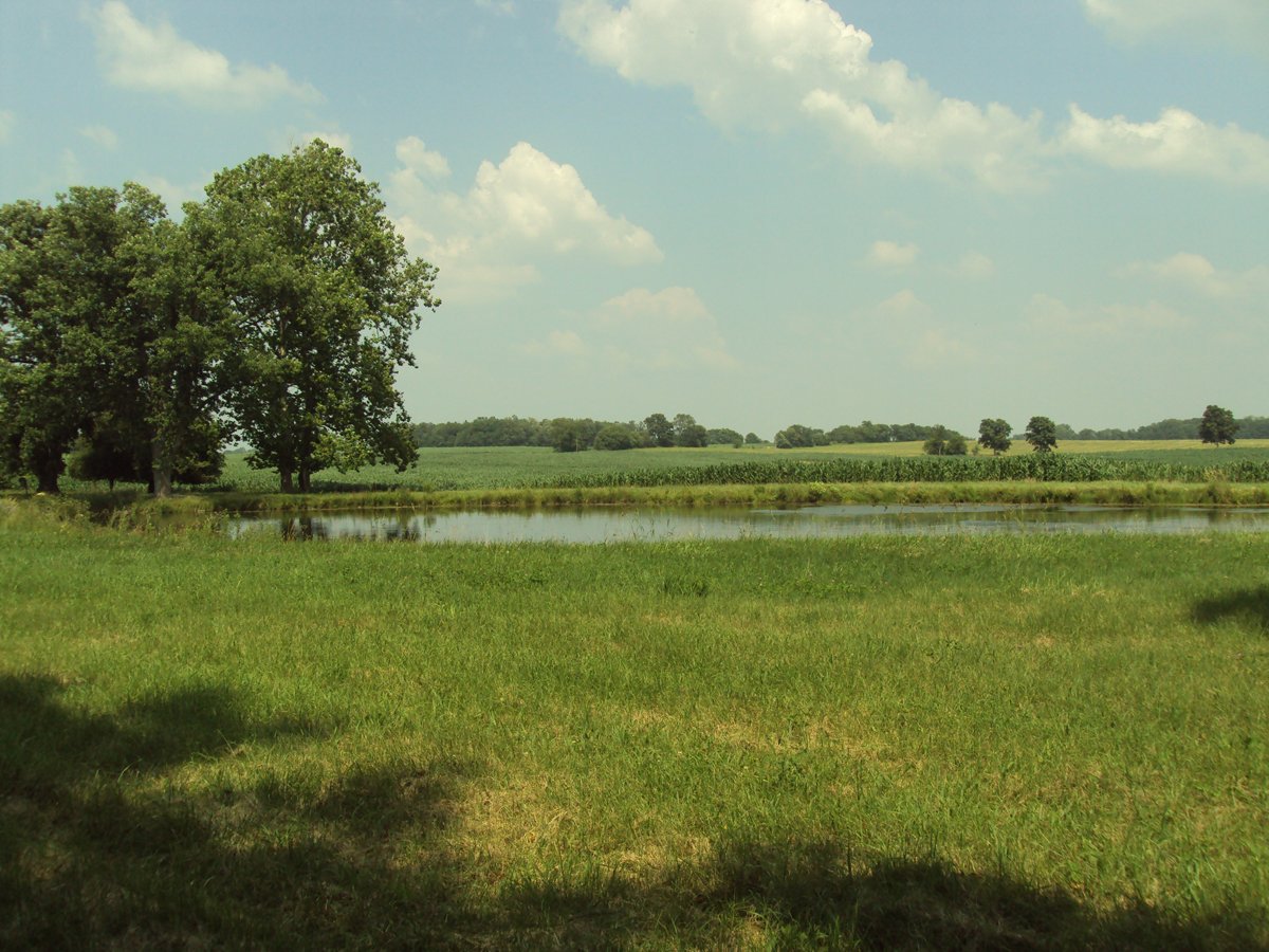 Property photo 10 - 160 Acres Offered in 6 Tracts